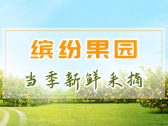 南昌采摘园