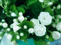 南通园林景观公司