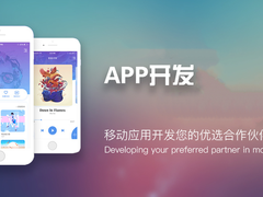 青岛系统开发公司