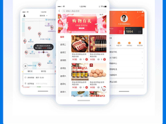 邯郸系统开发公司