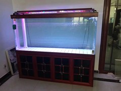 北京鱼缸维护