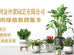 苏州办公室绿植租赁