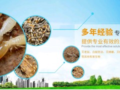 佛山白蚁防治中心