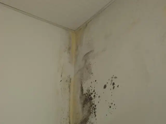 临沧漏点排查