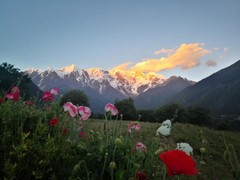 上海旅游公司