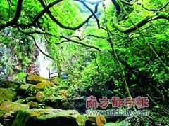 广东省中国青年旅行社沿江分社