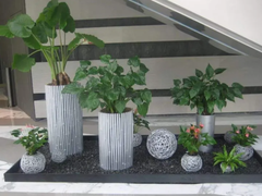 苏州办公室绿植租赁