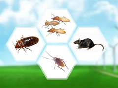 镇江杀虫灭鼠公司
