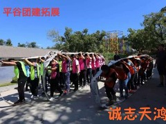 誠(chéng)志天鴻