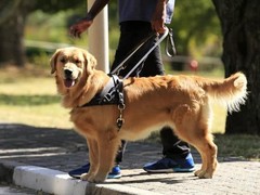 泉州训犬基地