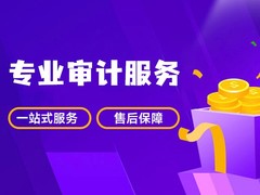 莆田工程审计代理