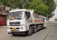 图片8