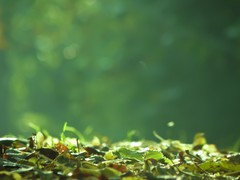 北京明冉达商贸有限公司