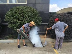 宁波灭蟑螂公司