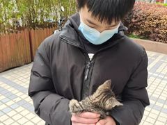 上海普陀区宠物救助领养收养收容中心