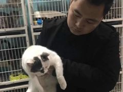 上海普陀区宠物救助领养收养收容中心