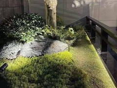 沈阳别墅庭院设计施工