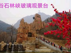 誠志天鴻
