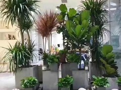上海园艺