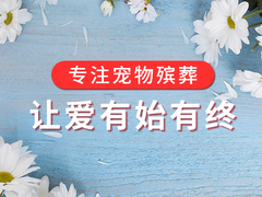 北京緣圓寵物服務(wù)有限公司