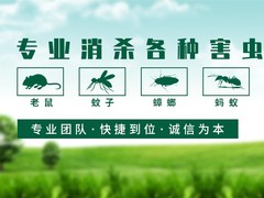 嘉兴杀虫灭鼠公司