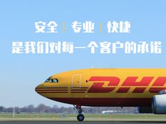 南京DHL