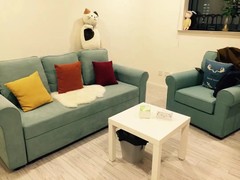 施必达(大连)新材料科技有限公司