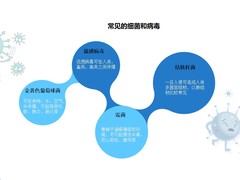广州甲醛治理