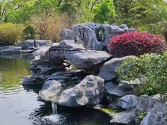 金辰锦鲤林园有限公司
