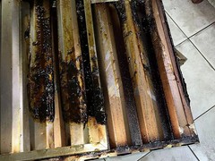 深圳市康烽环境技术服务有限公司