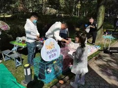 上海青浦区宠物小动物流浪狗流浪猫救助领养收容收养中心站