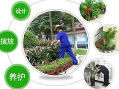 苏州绿植租摆