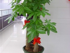 迎泽园林设计
