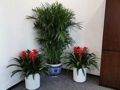 果之苑礼品商贸公司