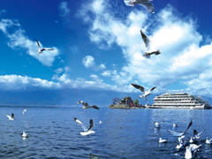 上海瞧一瞧国际旅行社有限公司
