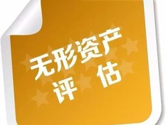 广元资产评估公司