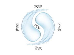 真汝专业减肥机构