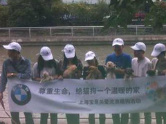 上海青浦区宠物小动物流浪狗流浪猫救助领养收容收养中心站
