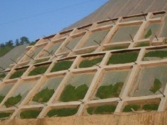 天津建筑劳务（华旗）有限公司