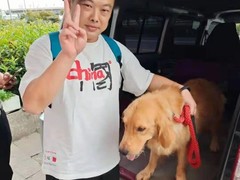 上海普陀区宠物小动物流浪猫狗救助领养收容收养中心基地站