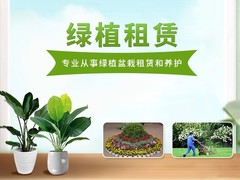 西安希美园林花卉租赁公司