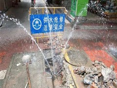 上海信胜诚水管检测技术工程有限公司