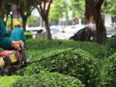 福州园林设计公司