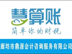 廊坊市鼎源会计咨询服务有限公司