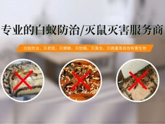 宜宾灭鼠公司
