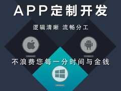 拉萨系统开发公司