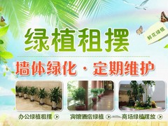 天津植物租摆