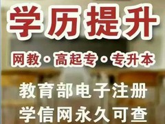 磁针教育