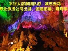 誠志天鴻