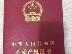 上海松江厂房专业出租出售